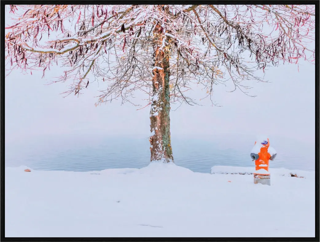 Neuchatel 3 - Sylvain Blanchoud