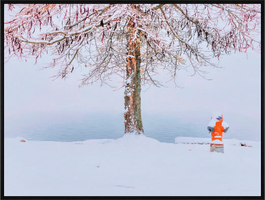Neuchatel 3 - Sylvain Blanchoud